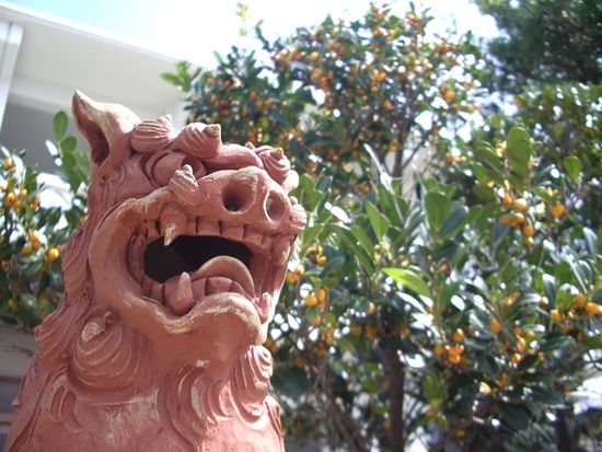 11シーサーのお迎え