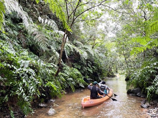 ガイド貸切ツアー　森、川、海などやんばるの自然に囲まれた沖縄の日常を体験する大人旅＜7時間／名護市＞by がじゅまる自然学校