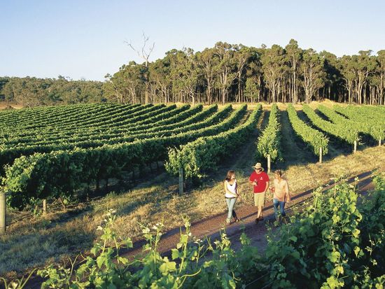 Margaret River - TWA - Group wal