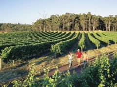 Margaret River - TWA - Group wal