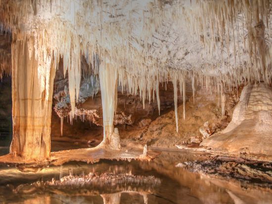 Australia_Western Australia_Mammoth Cave_shutterstock_751385569