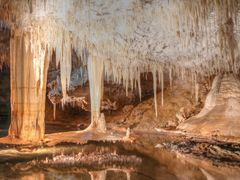 Australia_Western Australia_Mammoth Cave_shutterstock_751385569