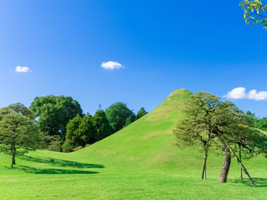 【熊本市内発着】貸切観光タクシー　熊本城＋水前寺公園＋阿蘇ファームランド＋阿蘇山中岳火口＋草千里 ＜6時間＞ by 熊本タクシー