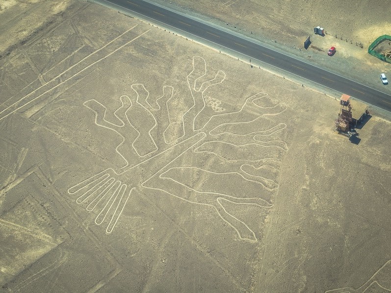 世界遺産「ナスカの地上絵」 セスナ遊覧日帰りツアー 上空から圧巻の