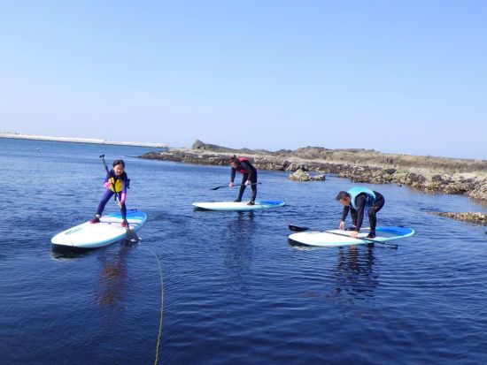 蕪島SUP体験 ウミネコが舞う三陸復興国立公園の蕪島へ！公認インストラクターが丁寧にレクチャー＜6歳から参加可／通年／2.5時間／八戸市＞