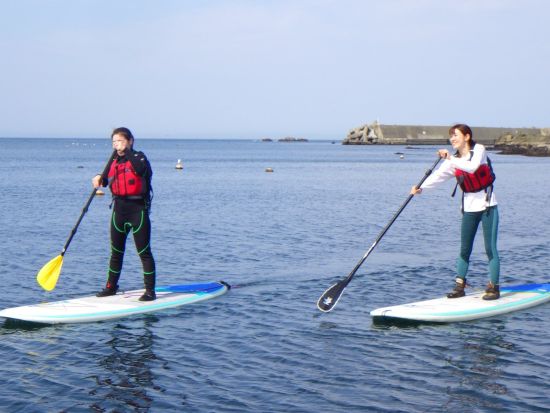 蕪島SUP体験 ウミネコが舞う三陸復興国立公園の蕪島へ！公認インストラクターが丁寧にレクチャー＜6歳から参加可／通年／2.5時間／八戸市＞