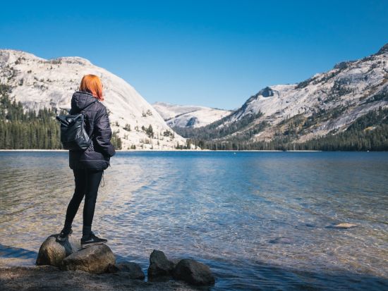 世界遺産ヨセミテ国立公園＆タホ湖 3泊4日ツアー　ポイントごとにたっぷりの自由時間を確保 ＜6～9月／英語ガイド＞