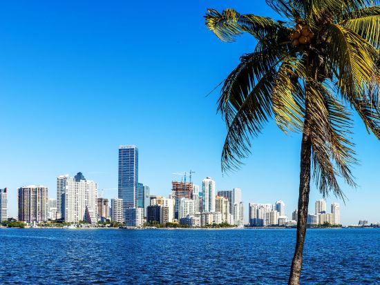 マイアミ沖合い　お気軽フィッシング体験ツアー ＜日本語ドライバー＞