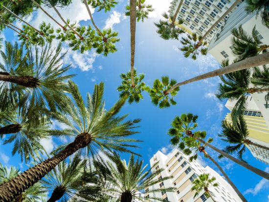 マイアミ沖合い　お気軽フィッシング体験ツアー ＜日本語ドライバー＞