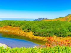 pixta_67981272_M