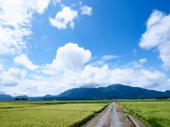 b3a78997-a1f4-4cb0-ac15-67c9ddb2b936