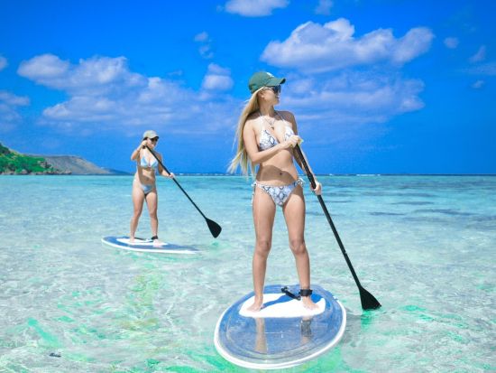 【愛犬連れOK】貸切クリアSUPツアー　ワンちゃんと一緒に宮古ブルーを堪能するプライベートツアー！＜宮古島＞by 宮古島マリン SUGAR3