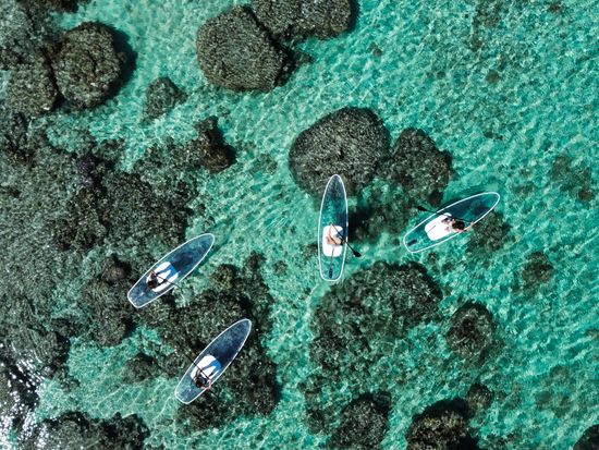 RemoteMediaFile_6553974_0_2022_03_01_13_37_26