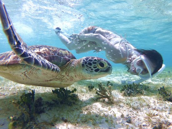 ウミガメシュノーケル　世界屈指の透明度を誇る宮古島の海でウミガメと一緒に泳ぐシュノーケリングプラン＜宮古島＞by 宮古島マリン SUGAR3