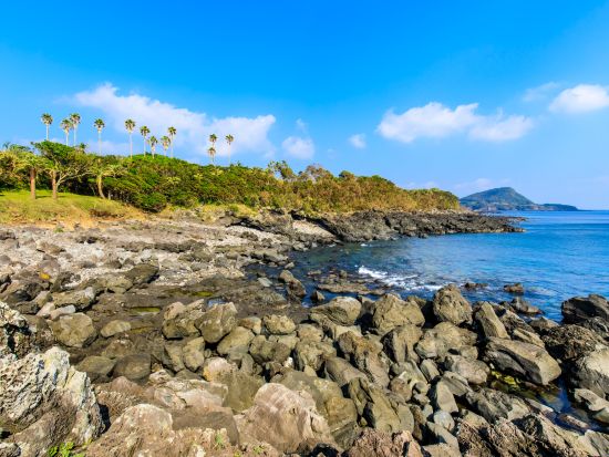 福江島1日観光ツアー　五島めぐり定期観光バスで島一周！絶景や教会など見所7か所をご案内　午後＋翌日午前プランもあり　ご到着日の参加OK ＜五島市＞ by五島バス