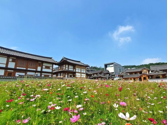 ソウル市内観光ツアー　リピーターに人気！恩平韓屋村＋津寛寺＋益善洞＋駱山公園＋梨花壁画村＜1日／日本語ガイド／ カルマンドゥ昼食付／明洞解散＞