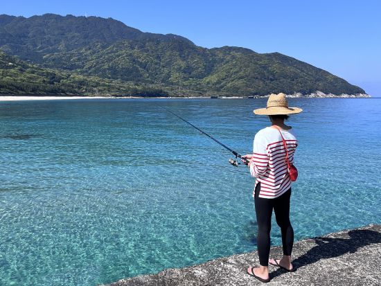 屋久島レンタカープラン　SUP・シュノーケリング等選べるアクティビティ体験付き 女性スタッフ対応＜1～6名／1日／送迎有＞ by 屋久島冒険旅