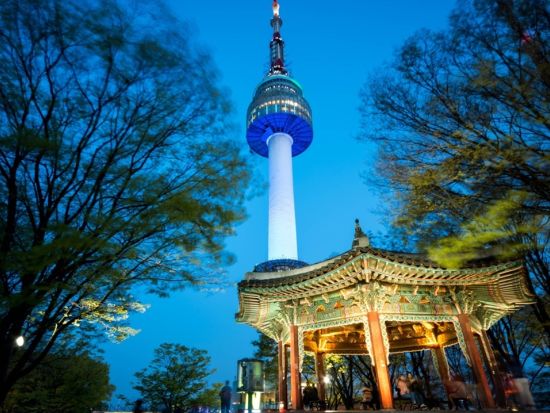 ソウル夜景ツアー　人気の夜景スポット3箇所を巡る！Nソウルタワー＋セビッソム＋駱山公園＜日本語ガイド／明洞または東大門解散／貸切プランあり＞