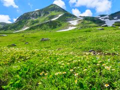 pixta_33020202_M