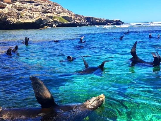 FB_IMG_1488201658397