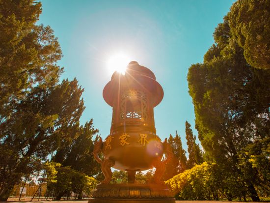 フォス・ド・イグアス市内半日観光ツアー☆美しいモスク・仏教寺院を訪問！＜英語ガイド／イグアス発＞