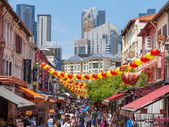 シンガポール半日観光ツアー  マーライオン＋国立蘭園＋アラブストリート＜午前／日本語＞