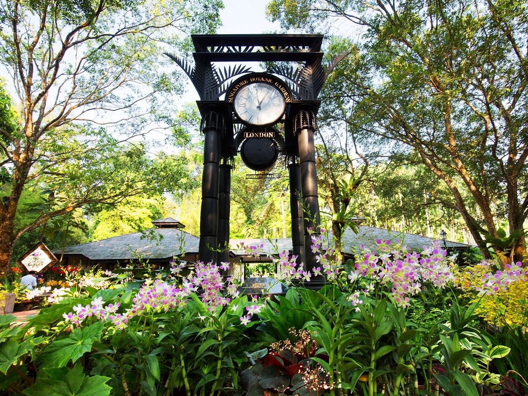 植物園 | シンガポールの観光・オプショナルツアー専門 VELTRA(ベルトラ)