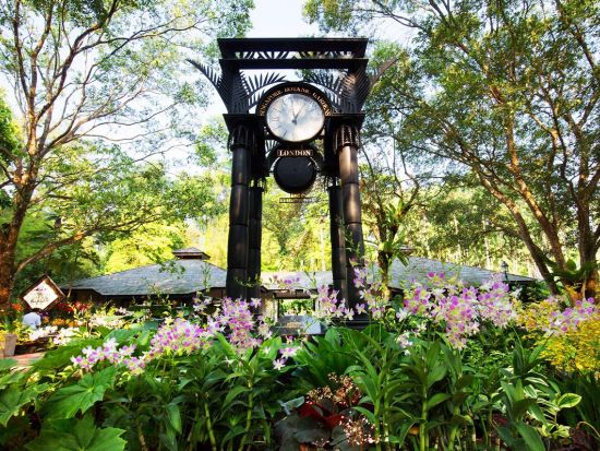 シンガポール半日観光ツアー  マーライオン＋国立蘭園＋アラブストリート＜午前／日本語＞