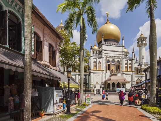 シンガポール半日観光＆夜景ツアー マーライオンなど定番観光＋シンガポールフライヤー＋ガーデン・ラプソディとスペクトラショー鑑賞＜午後／夕食付き／日本語ガイド＞