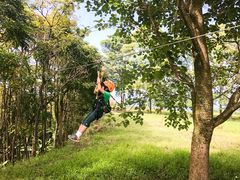 ZipLine
