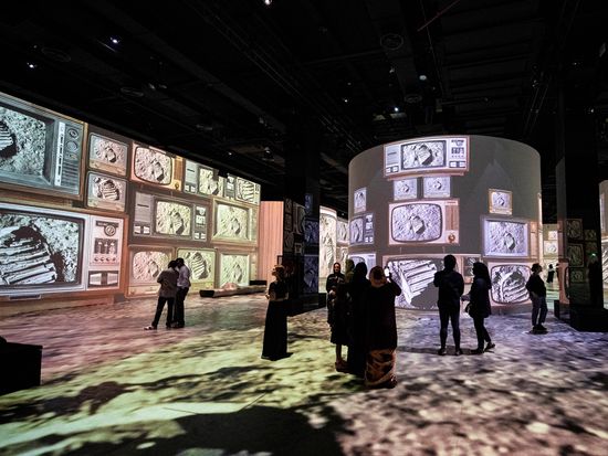 Infinity des Lumieres_Destination Cosmos_8730