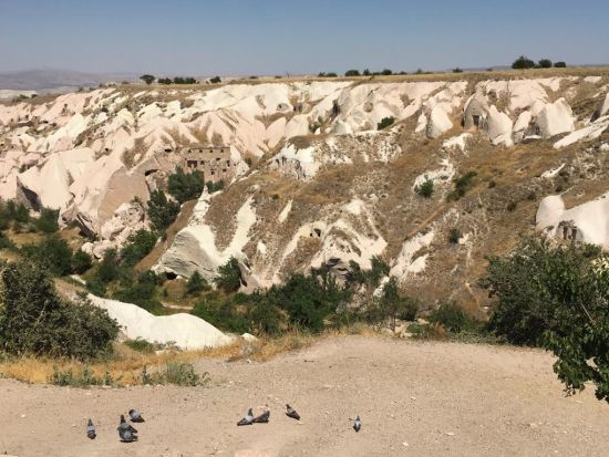 カッパドキア＆トゥズ湖1日観光　幻想的な塩湖 トゥズ湖＋ピジョンバレー＜貸切／昼食付／日本語ガイド／カッパドキア発＞