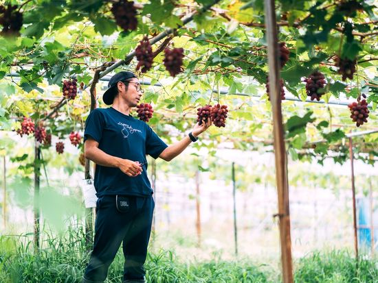 逾樒ｴ・判蜒十44