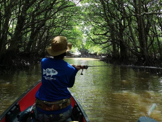 マングローブフィッシング　亜熱帯のジャングルに囲まれながら釣りを楽しもう　釣具レンタル付きプランあり＜4歳から参加OK／上原港・西表島内ホテル無料送迎可＞