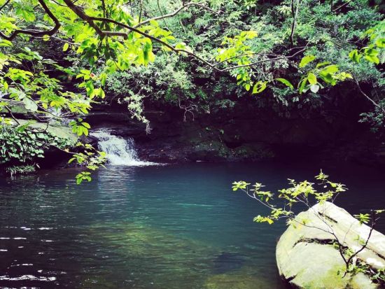 マングローブフィッシング　亜熱帯のジャングルに囲まれながら釣りを楽しもう　釣具レンタル付きプランあり＜4歳から参加OK／上原港・西表島内ホテル無料送迎可＞