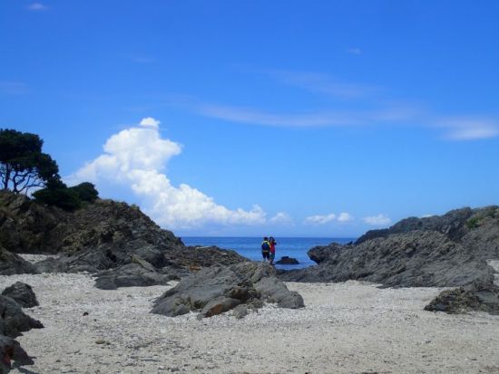 屋久島シーカヤック半日ツアー 屋久島公認ガイド 田脇さんがご案内 その日の最適なロケーションでツーリング by ショアーズ