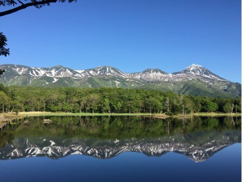 知床五湖一周ガイドウォーク 　太古から続く原生林を歩き、5つの湖と高架木道を散策！お子様用ビンゴもあり♪＜4～11月／ウトロエリア送迎あり＞byシンラ