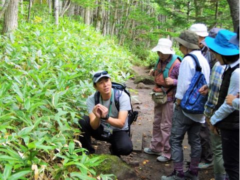 知床五湖一周ガイドウォーク 　太古から続く原生林を歩き、5つの湖と高架木道を散策！お子様用ビンゴもあり♪＜4～11月／ウトロエリア送迎あり＞byシンラ