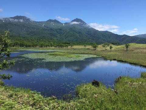 知床五湖一周ガイドウォーク 　太古から続く原生林を歩き、5つの湖と高架木道を散策！お子様用ビンゴもあり♪＜4～11月／ウトロエリア送迎あり＞byシンラ