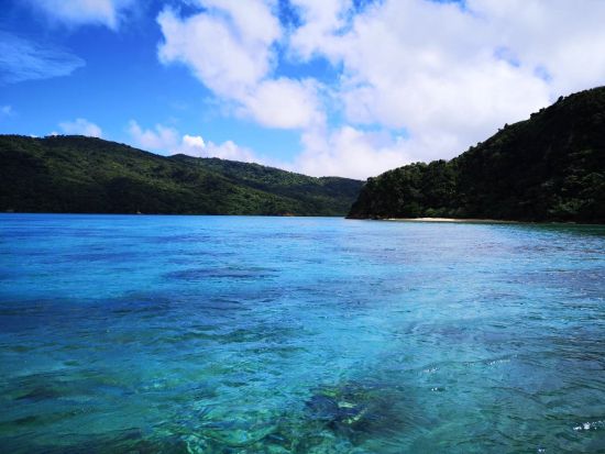 体験フィッシング＋シュノーケリング　秘境「奥西表」エリアで2つのアクティビティを楽しもう＜6歳から参加可／上原港・西部地区ホテル無料送迎可＞