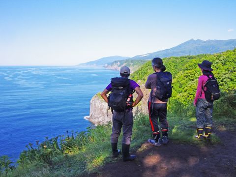 絶景！原始の森 けもの道ガイドウォーク　ガイドと一緒でなければ行くことのできない知床原生林を歩こう！＜4~11月／斜里町＞byシンラ