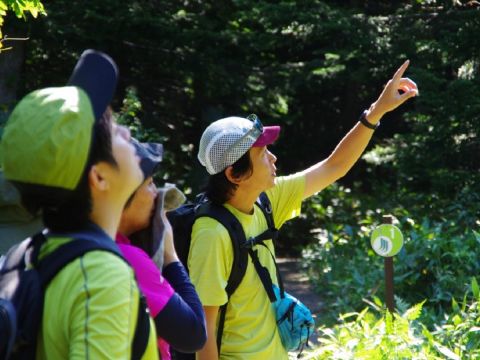 フレペの滝ガイドウォーク　海、山、滝、野生動物たち！知床半島の魅力がぎゅっと詰まった場所、フレペの滝へ！＜4～11月／ウトロ地区送迎可／斜里町＞byシンラ