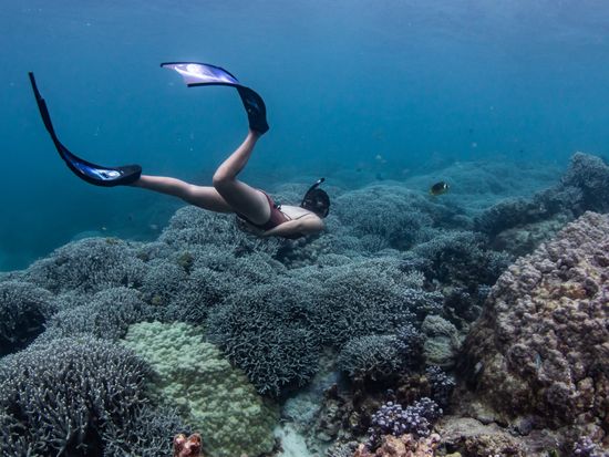 繝倥ｙ繝ｫ繝医Λ9