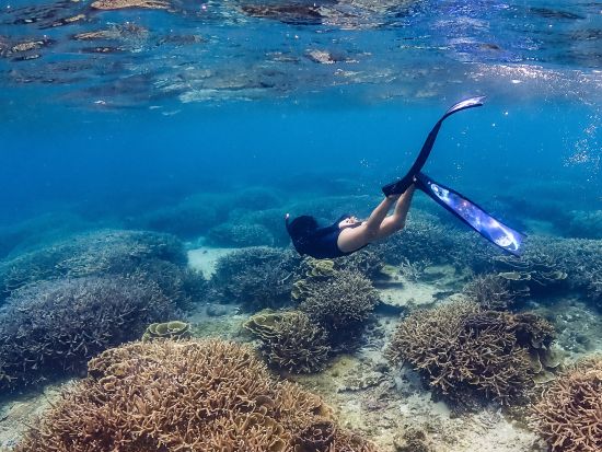 【貸切】ボートシュノーケリングツアー　当日のコンディションでベストな1～2ポイントをご案内＜1～10名／半日または1日／宮古島＞by すばる