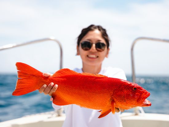 【貸切】ボート釣りツアー　南国ならではの大物を釣り上げよう！釣り具も込みで参加しやすい＜1～10名／半日または1日／宮古島＞by すばる