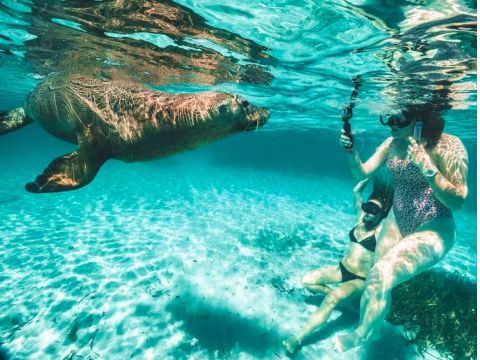 3つの島をクルージング！ロッキンハムの美しい海でシュノーケリング＆野生動物に出会う＜英語／シーフードプレート付＞by ワイルドエンカウンターズ