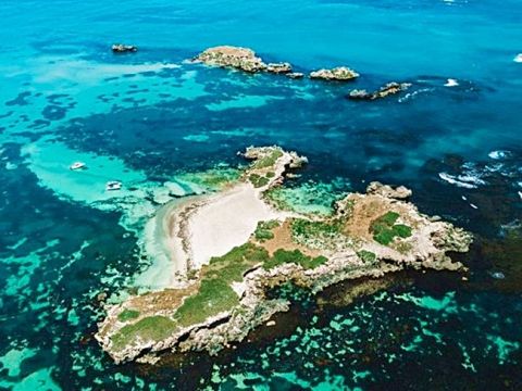 3つの島をクルージング！ロッキンハムの美しい海でシュノーケリング＆野生動物に出会う＜英語／シーフードプレート付＞by ワイルドエンカウンターズ