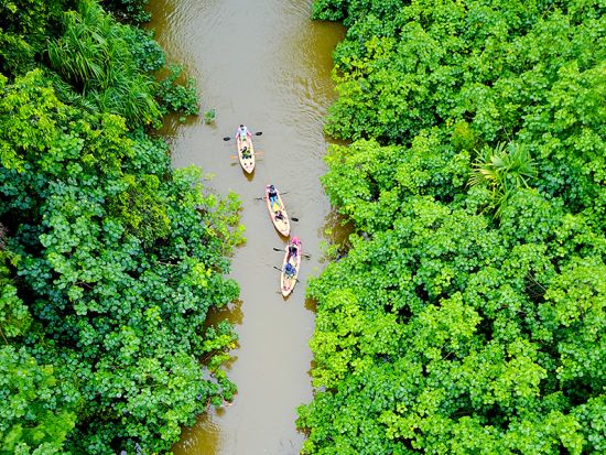 カハナ渓谷　カヤックレンタル　手付かずの自然が残るカハナ渓谷で、自由にカヤックを楽しもう！＜2時間30分＞by アクティブ・オアフ