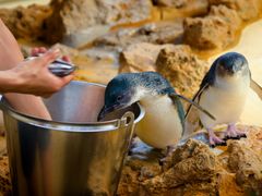 IBT 2012-09_472