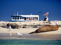 IBT 2012 03_166